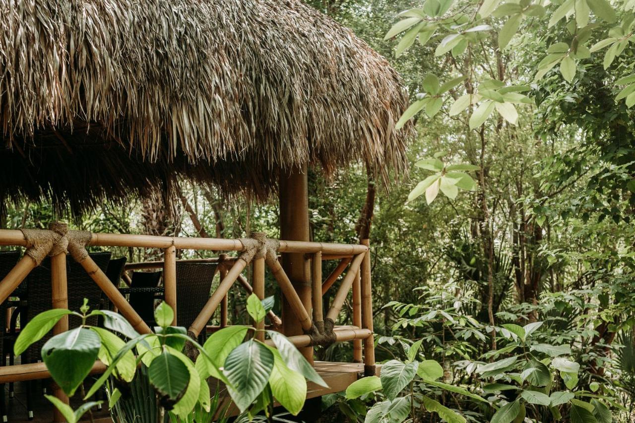 Selva Teenek Eco-Park Ciudad Valles Exteriör bild