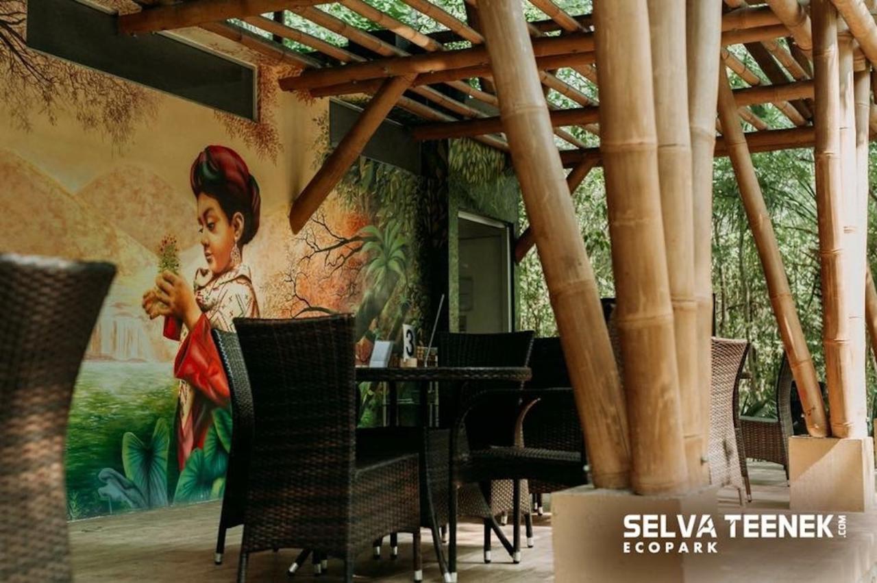 Selva Teenek Eco-Park Ciudad Valles Exteriör bild